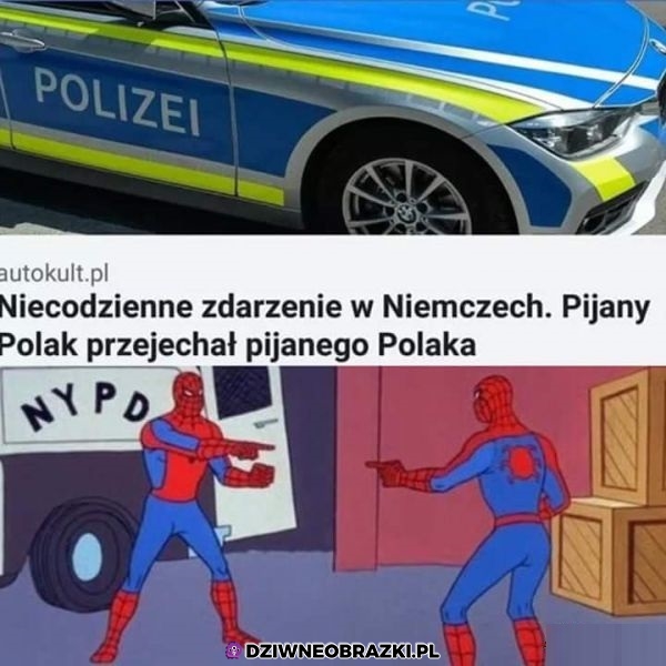 Nietypowe