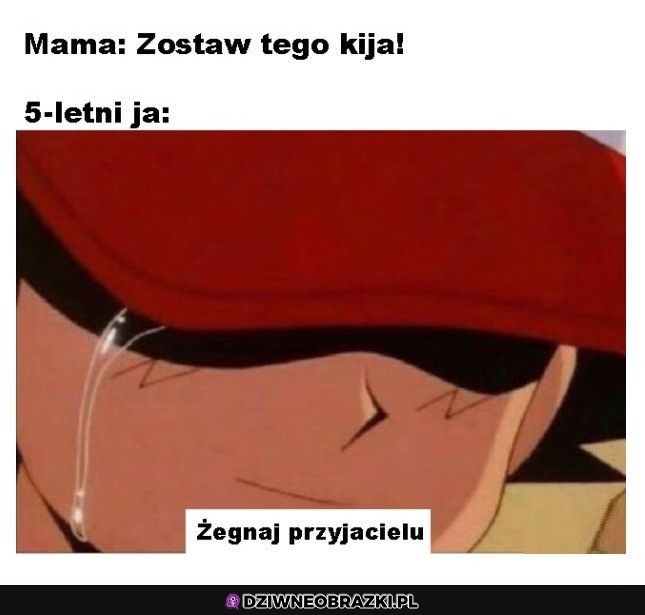 Żegnaj