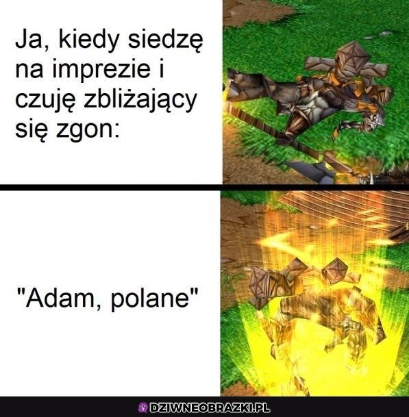 Kiedy jest polane