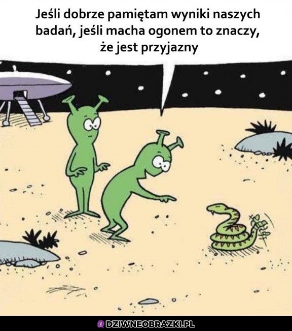 Macha ogonkiem