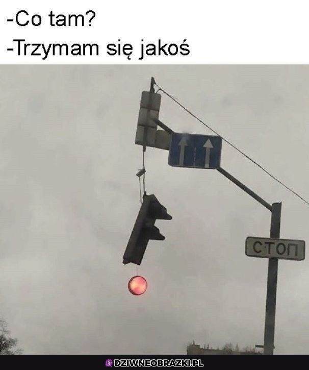 Jakoś się trzymam