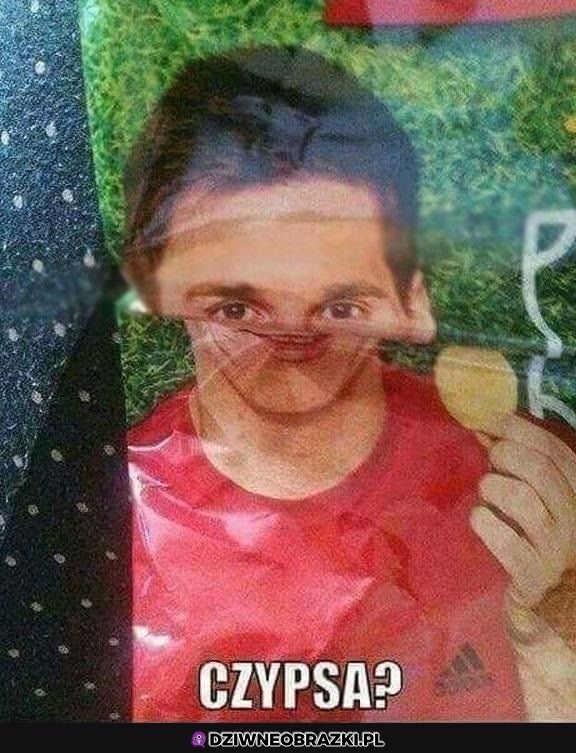 Czypsa?
