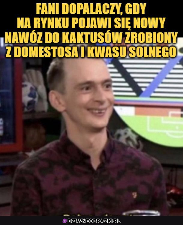 O kurde, biere to 
