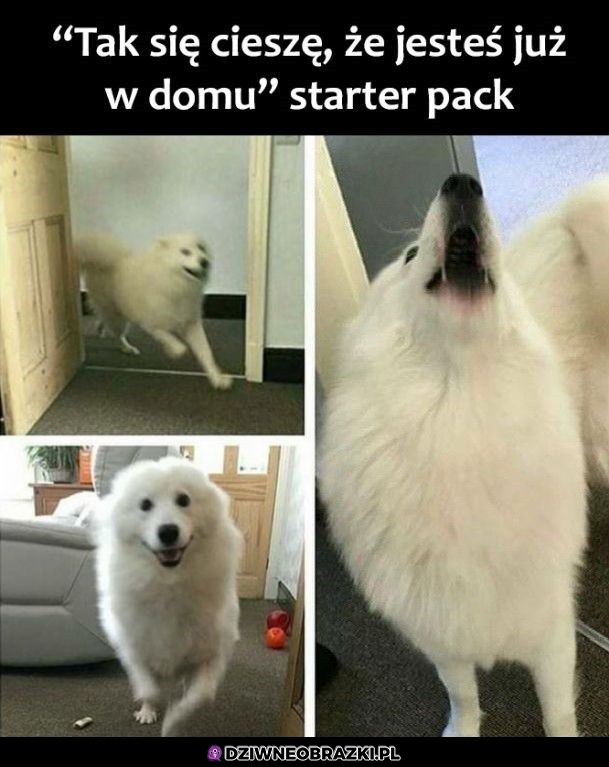 Nareszcie wróciłeś