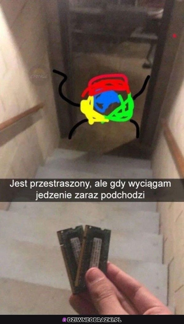 Troszkę przestraszony
