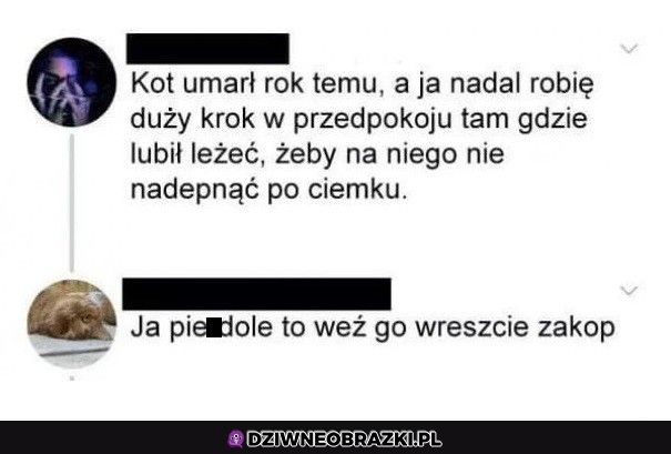 Najwyższa pora