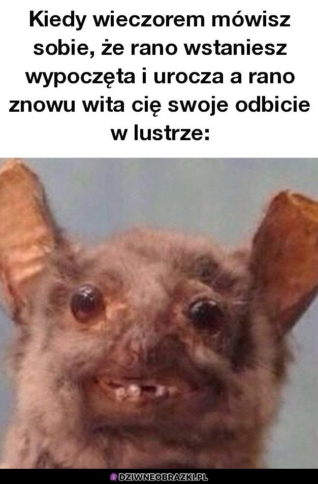 Zawsze