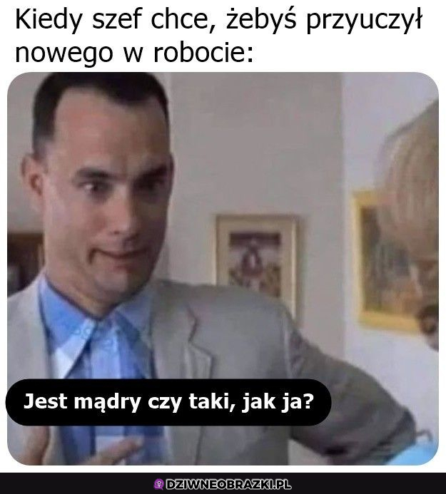 Kiedy masz kogoś przyuczyć