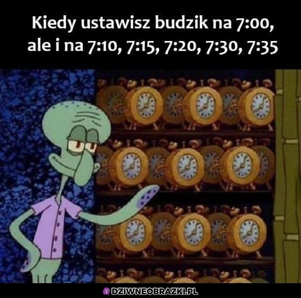 Budziki Budziki