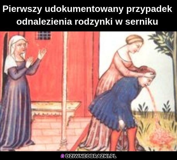 Rodzynki w serniczku