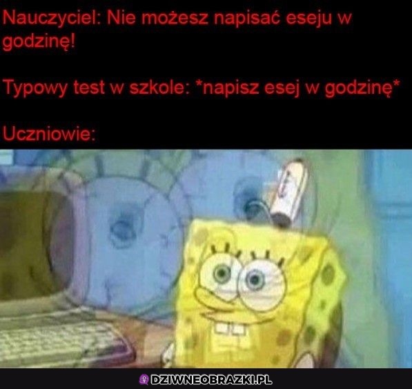 Szkolne eseje