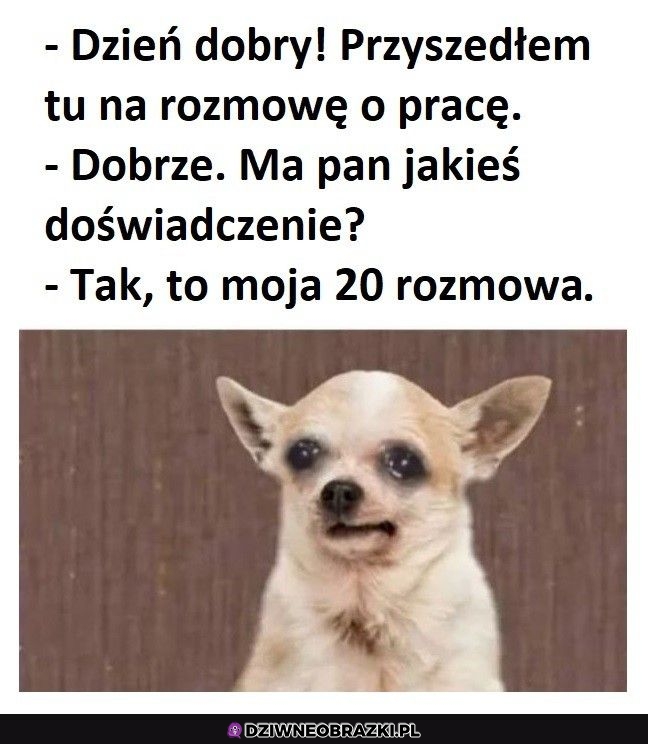 Tyle doświadczenia