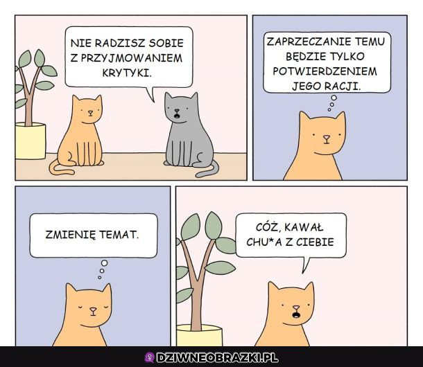 Rozmowy kotów