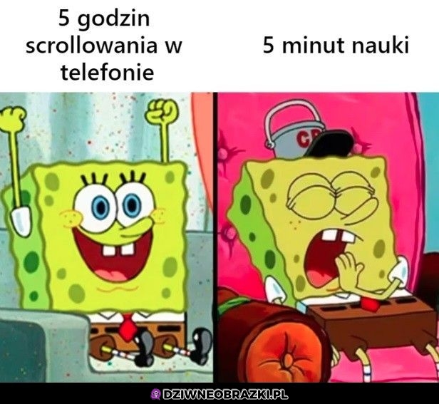 Tak to wygląda