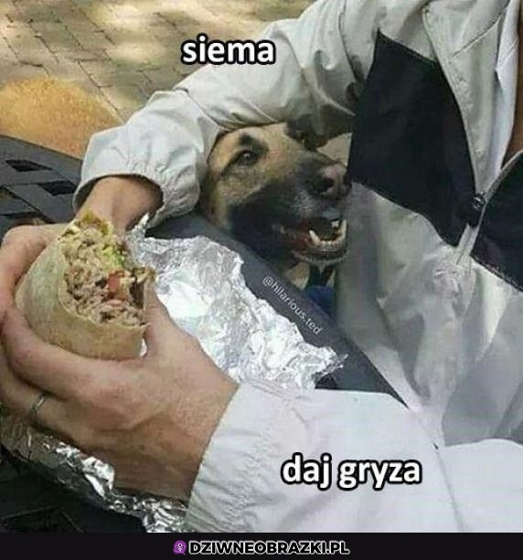 No weź daj