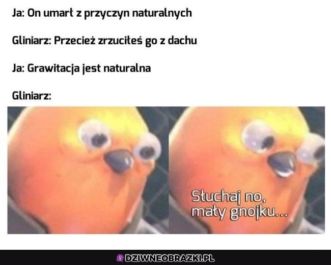 Słuchaj no