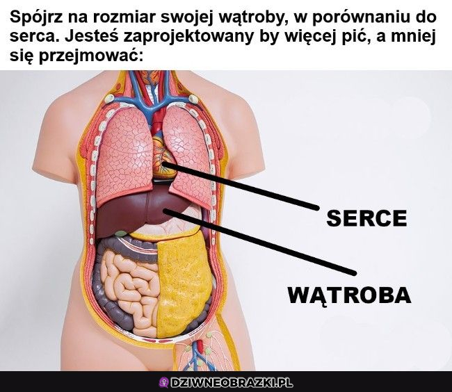 W końcu jakieś mądre spostrzeżenie