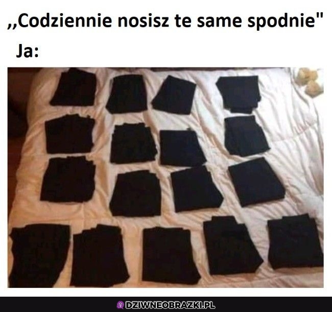Właśnie dlatego