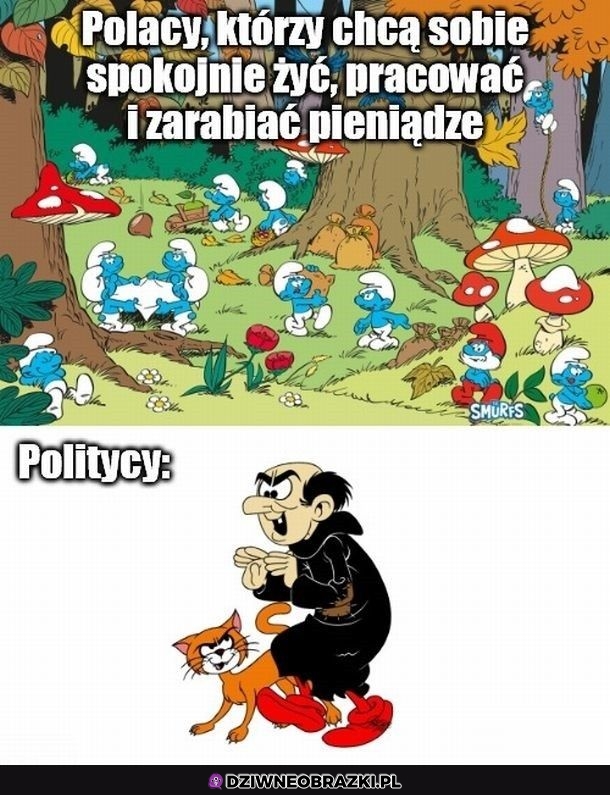 Taki ich wygląd