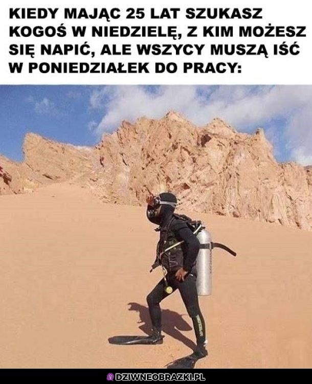 Poszukiwania kogoś na piwko