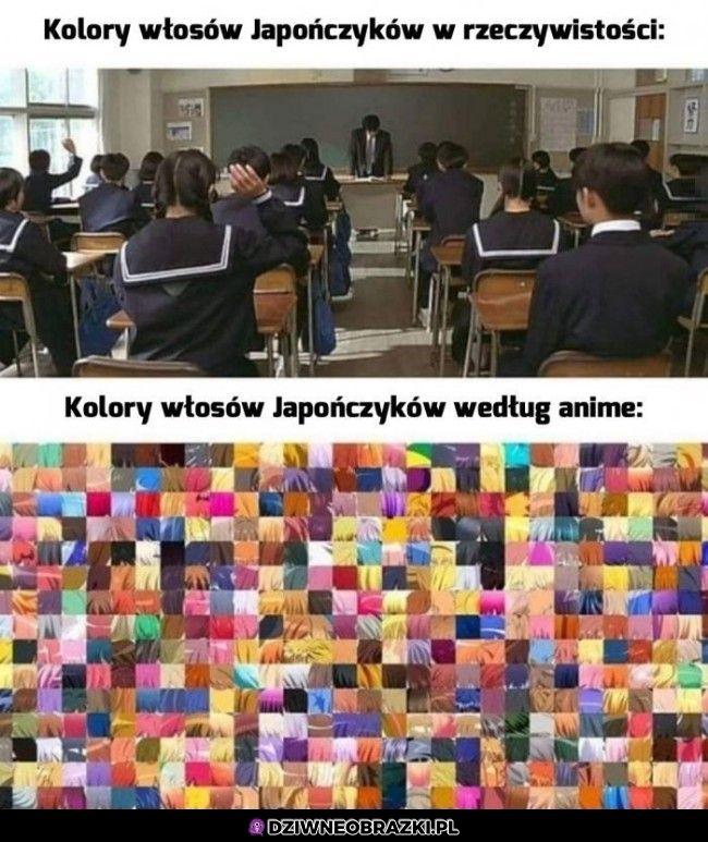 Kolory