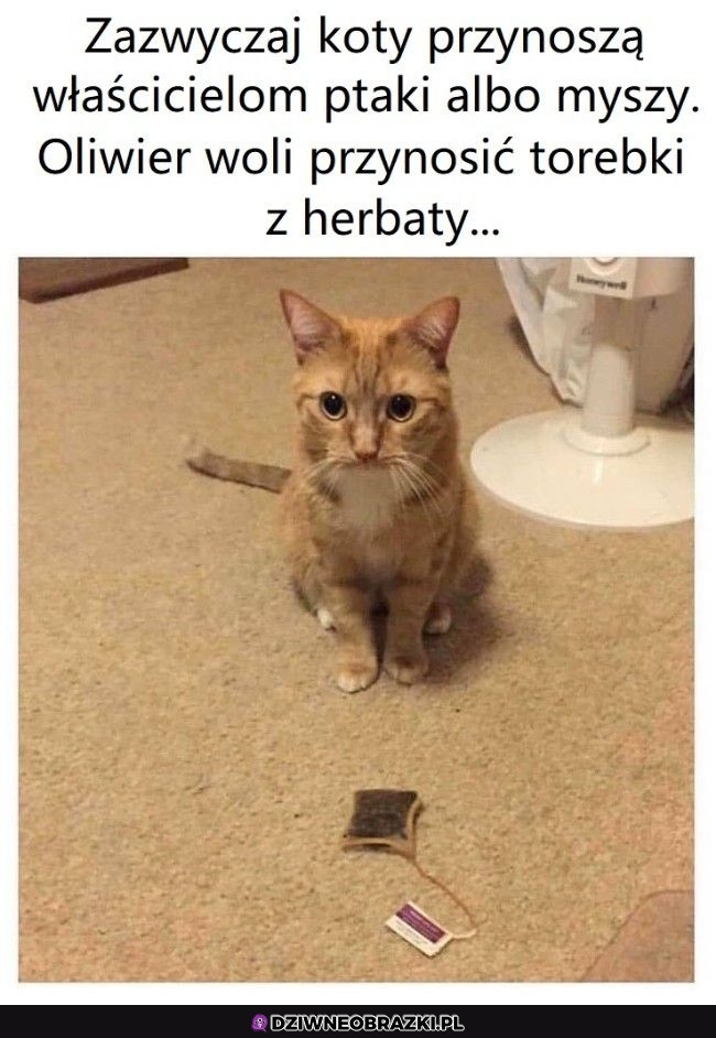 Łowca
