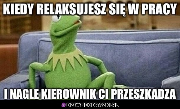 Jakie "pracuj"