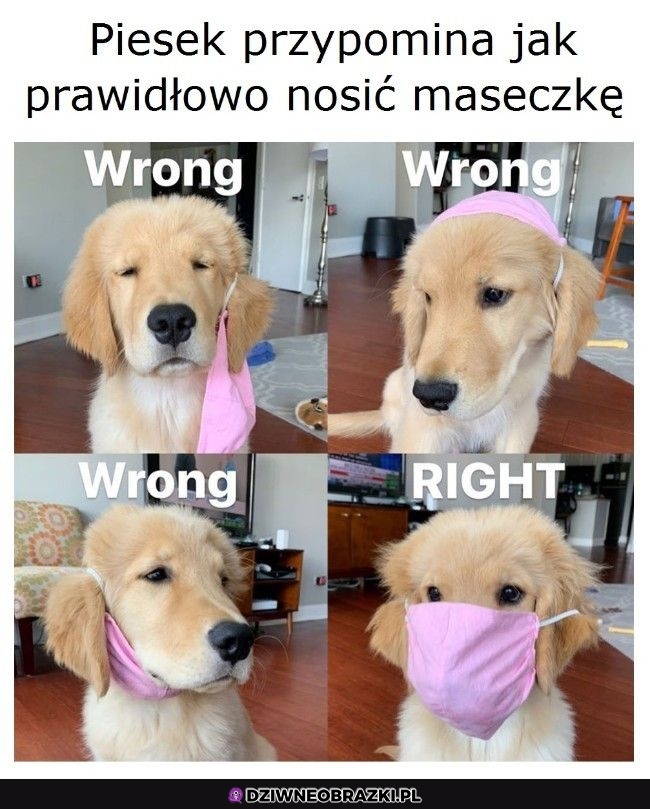 Pamiętajcie