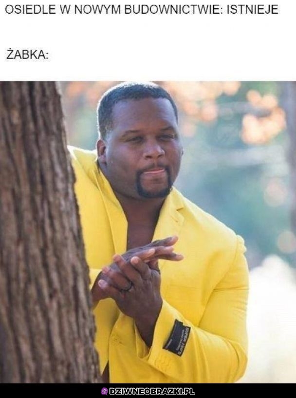 I pyk żabeczka