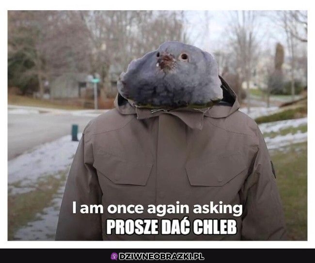 Prośba