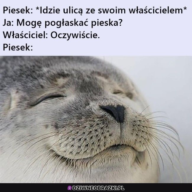 Najlepiej