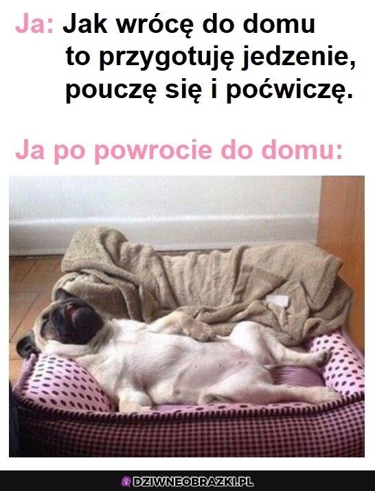 Po powrocie do domu