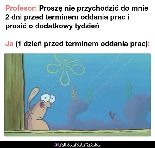 Witam