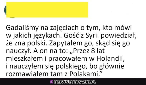 Polscy holendrzy 