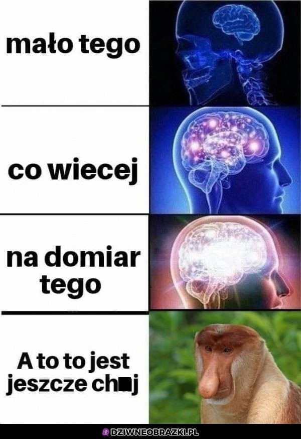 Co więcej