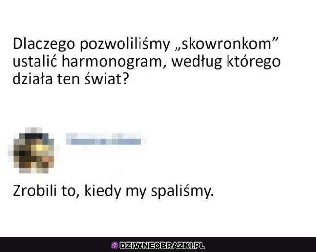 Skowronki potrafią za dużo