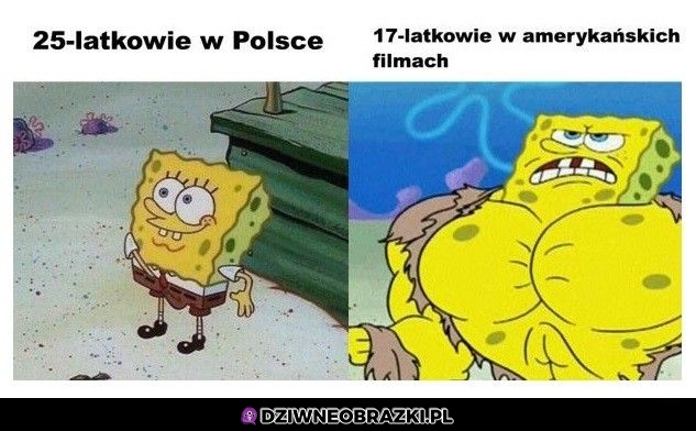 Bez kitu to