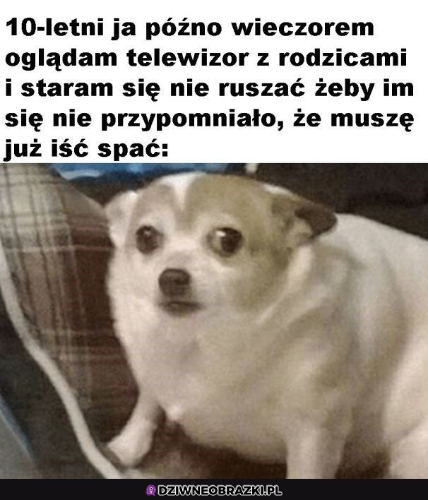 Tak było