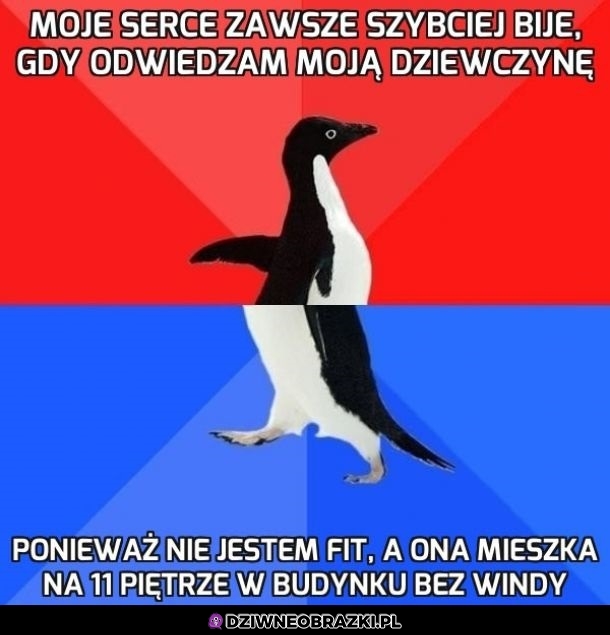 Serce bije szybciej