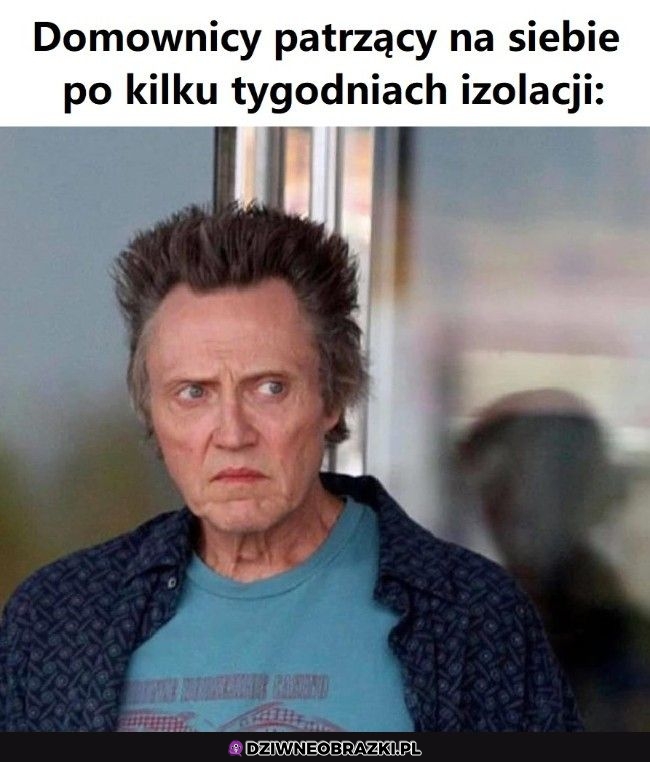 Tak to wygląda