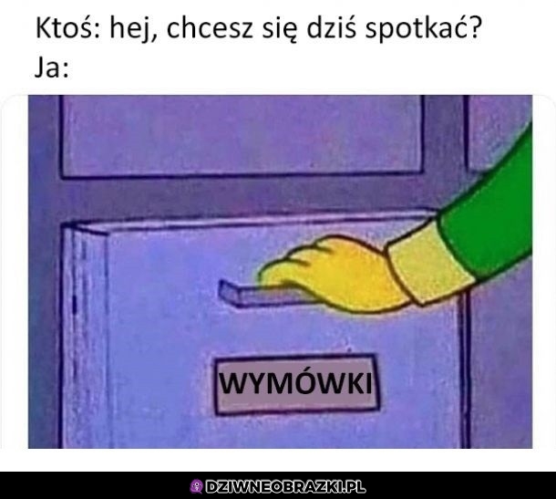 Niech no spojrzę