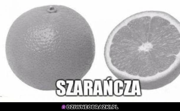 Szarańcza