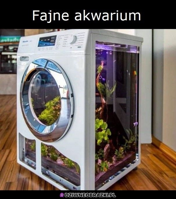 Akwarium
