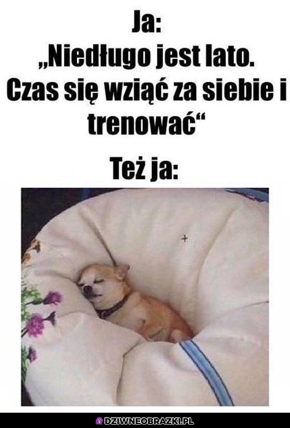 Taki mój wygląd