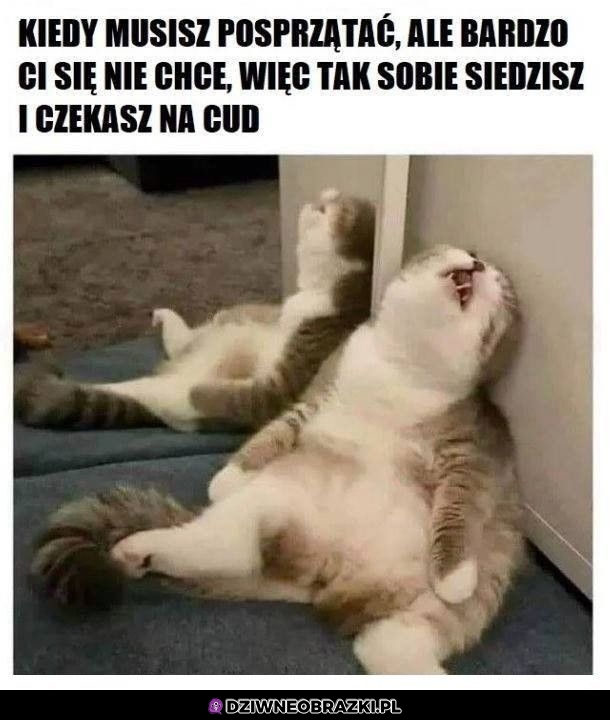 Ten moment Ten moment