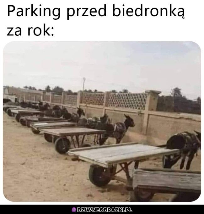 Tak będzie