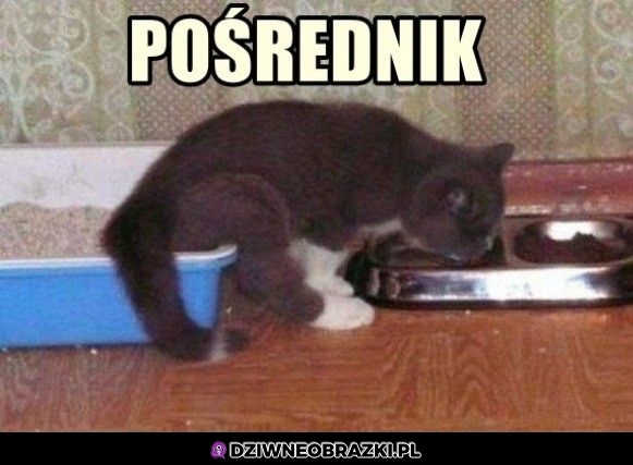 Transfer bezpośredni