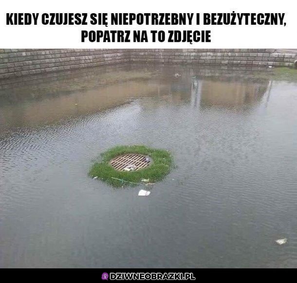Szczyt bezużyteczności