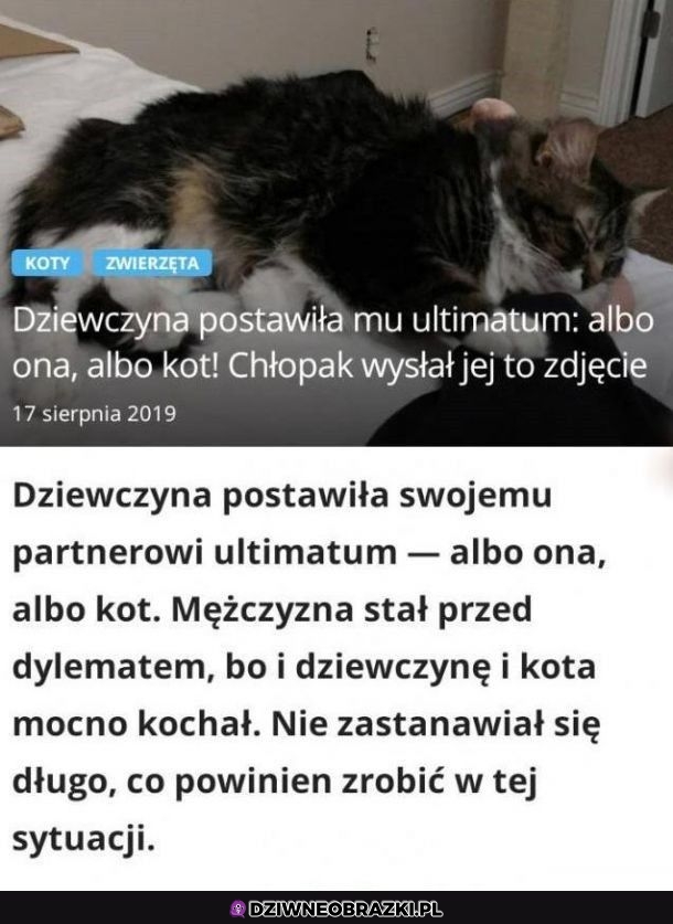 Rozwiązał
