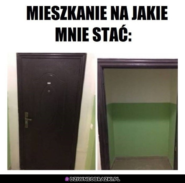 Na tyle mnie stać